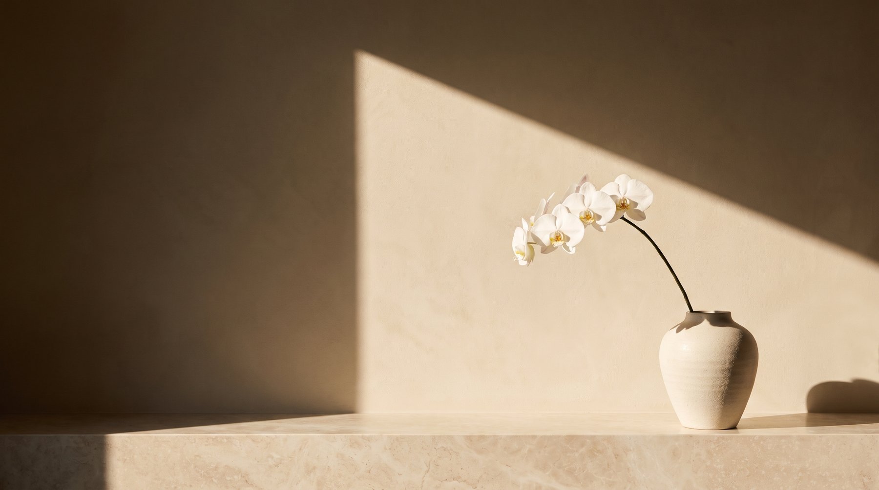 A single white orchid on a marble ledge in afternoon light