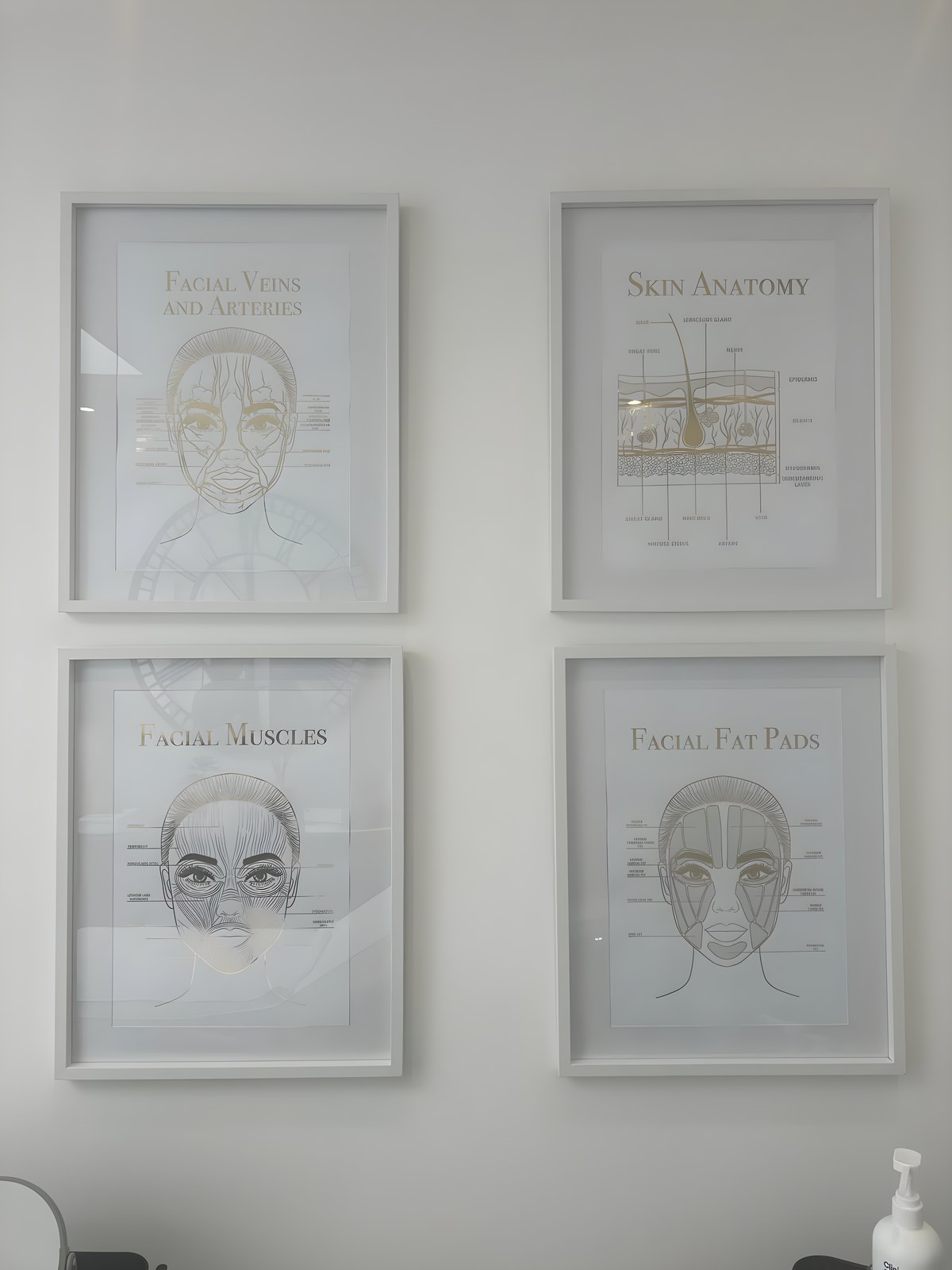 Framed facial anatomy prints on the clinic wall
