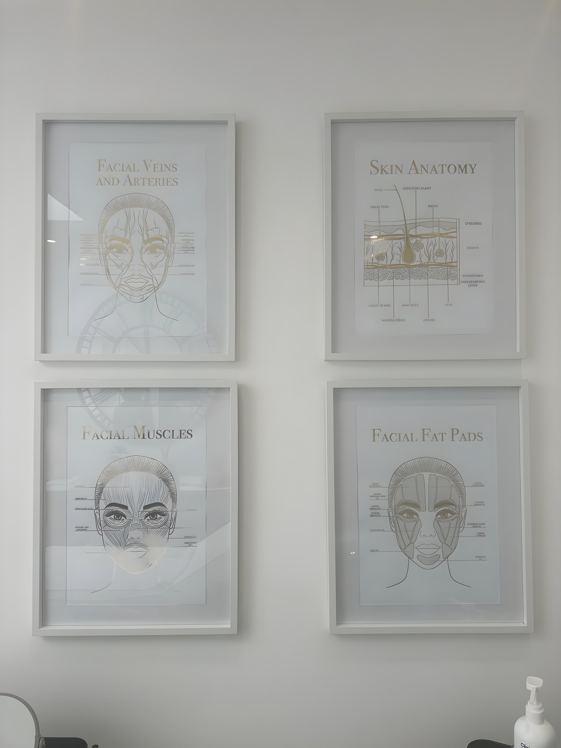 Framed facial anatomy prints on the treatment room wall