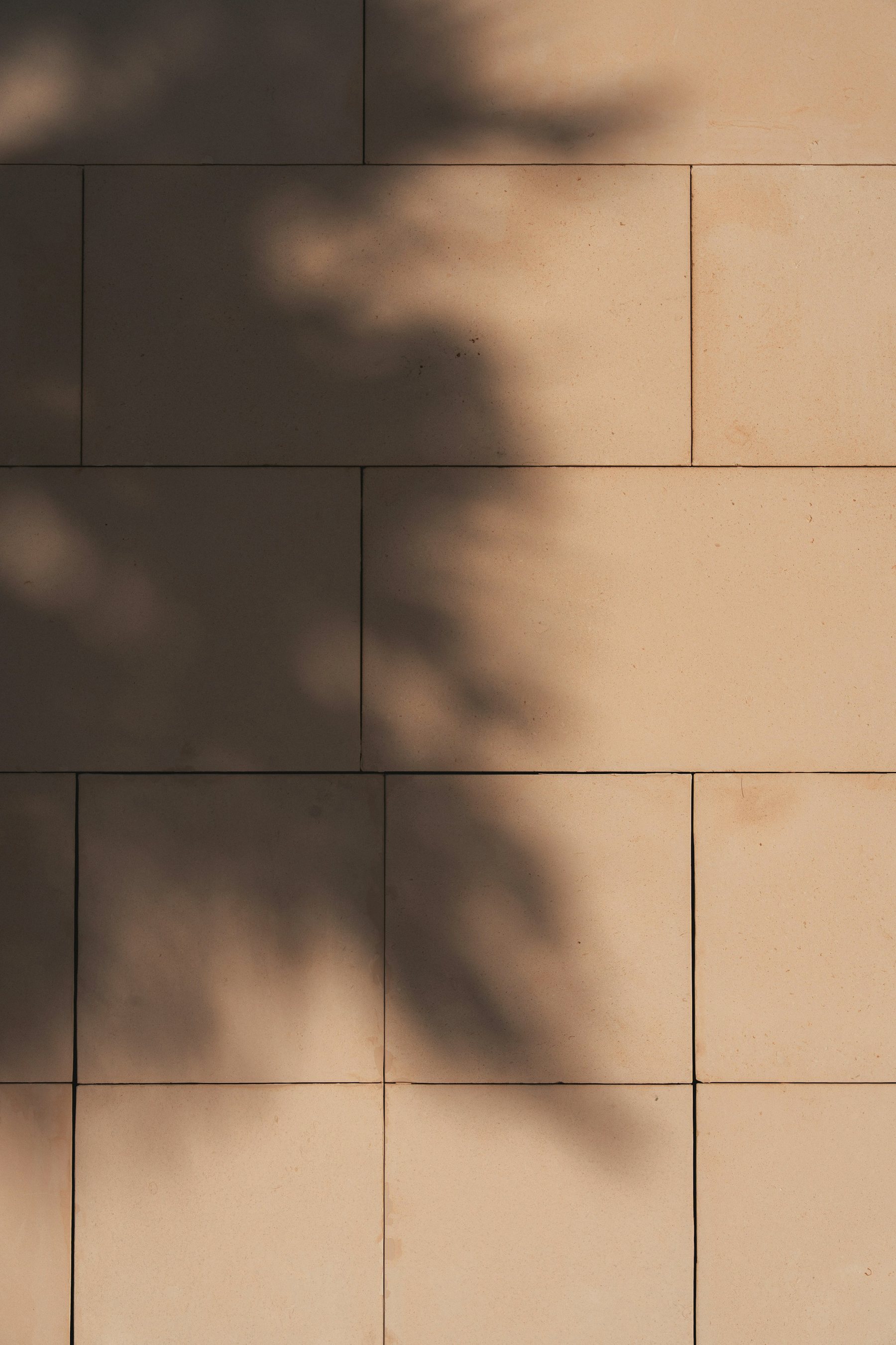 Leaf shadow across a warm stone wall